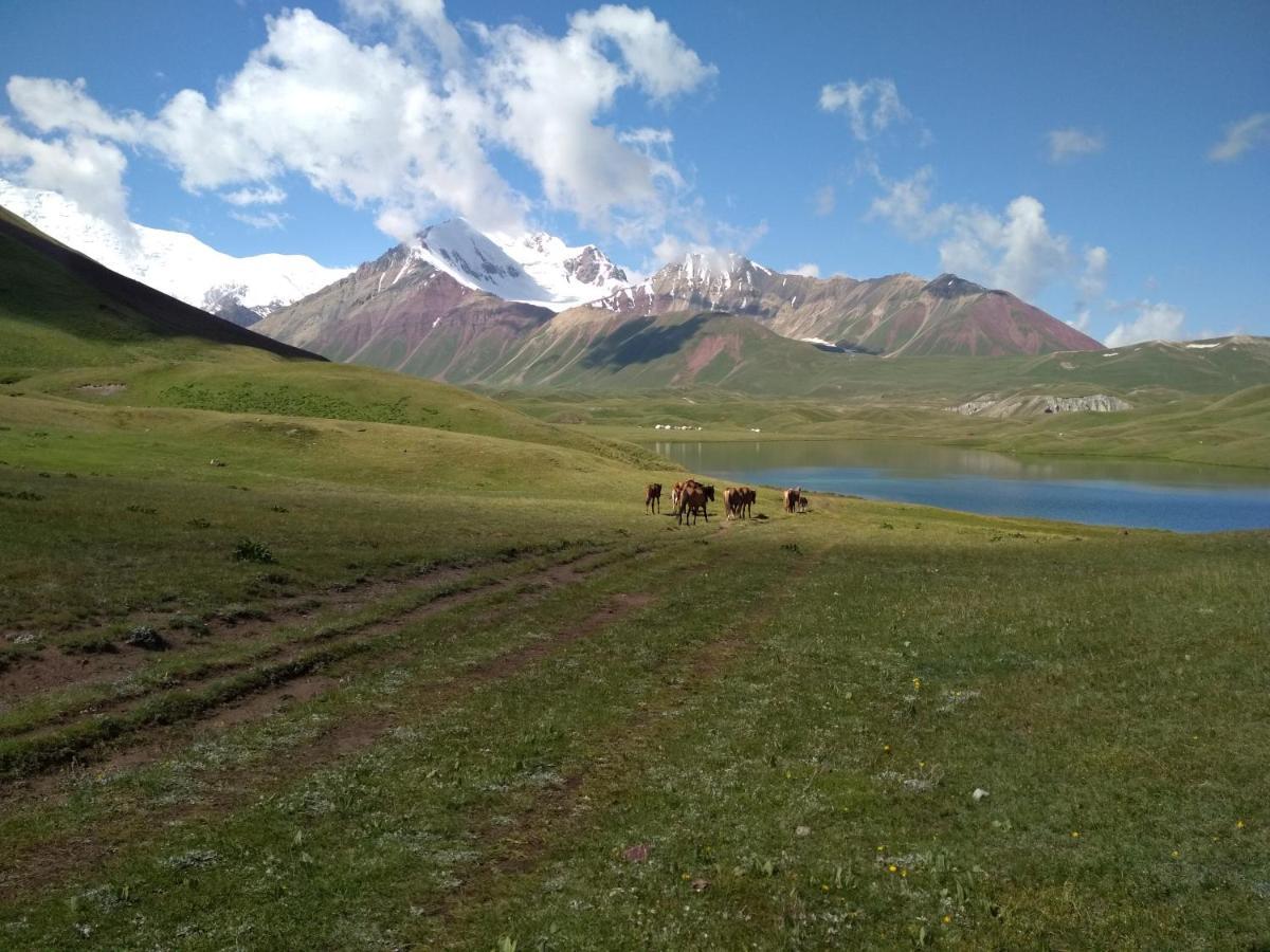Pamir Nomad Yurt Camp Kara-Kavak Exterior photo