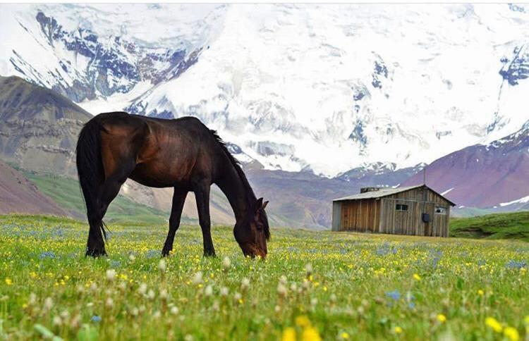 Pamir Nomad Yurt Camp Kara-Kavak Exterior photo